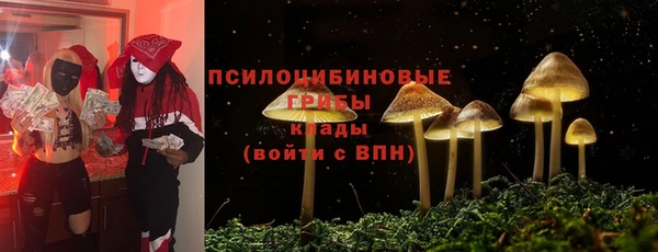 ECSTASY Кодинск