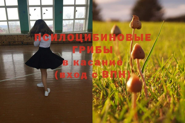 PSILOCYBIN Козельск