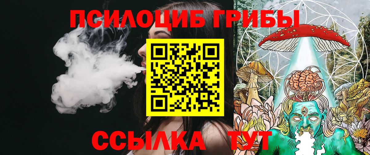 Галлюциногенные грибы Psilocybe Улан-Удэ